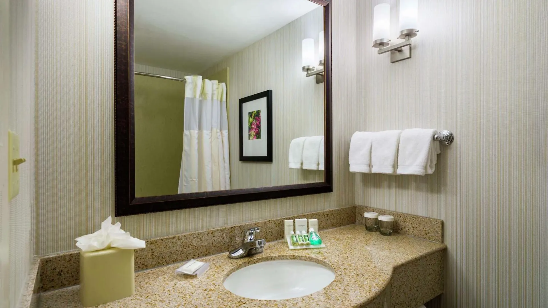 ניו יורק Hilton Garden Inn Queens/Jfk