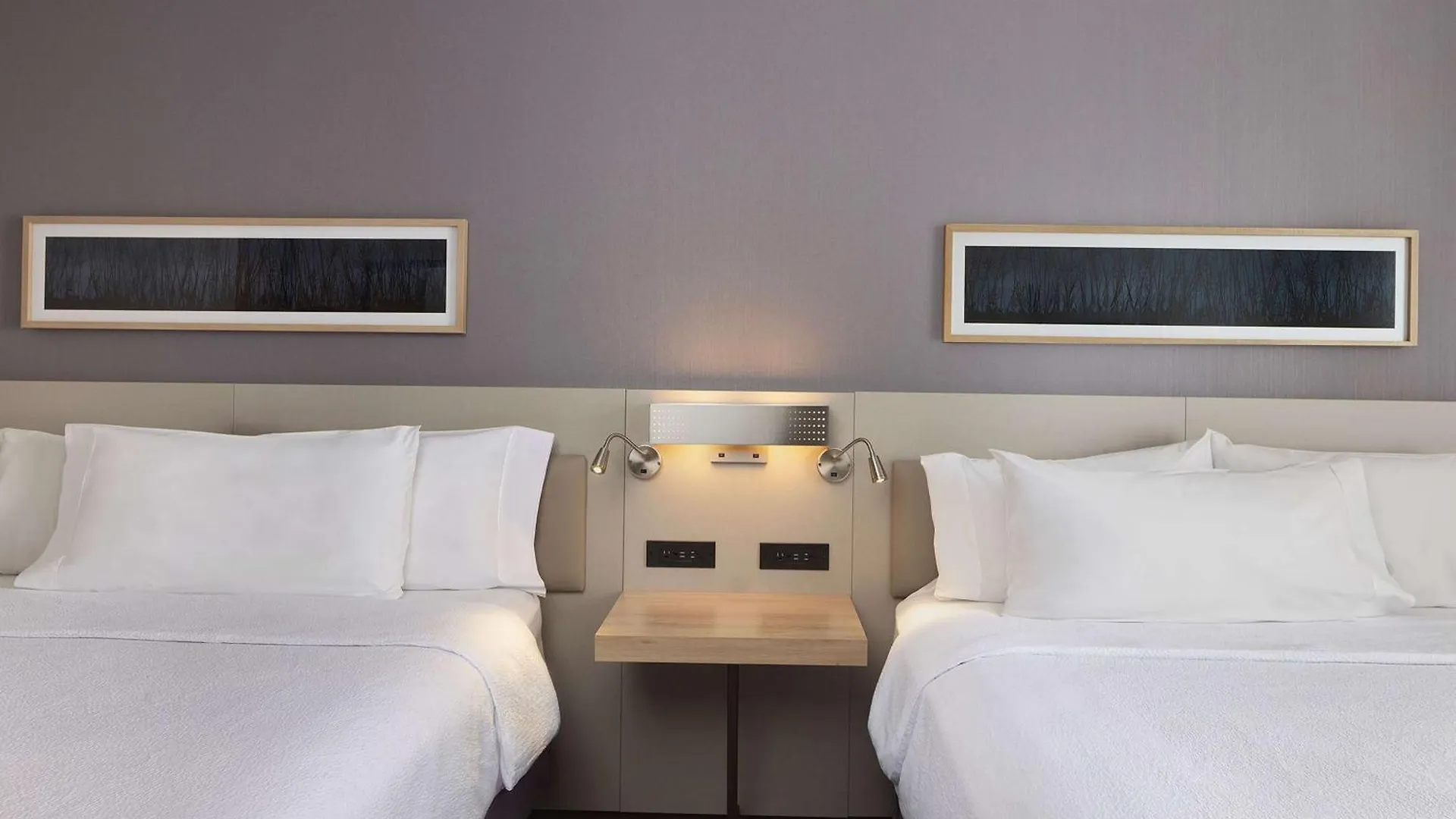 ניו יורק Hilton Garden Inn Queens/Jfk 3*, ניו יורק