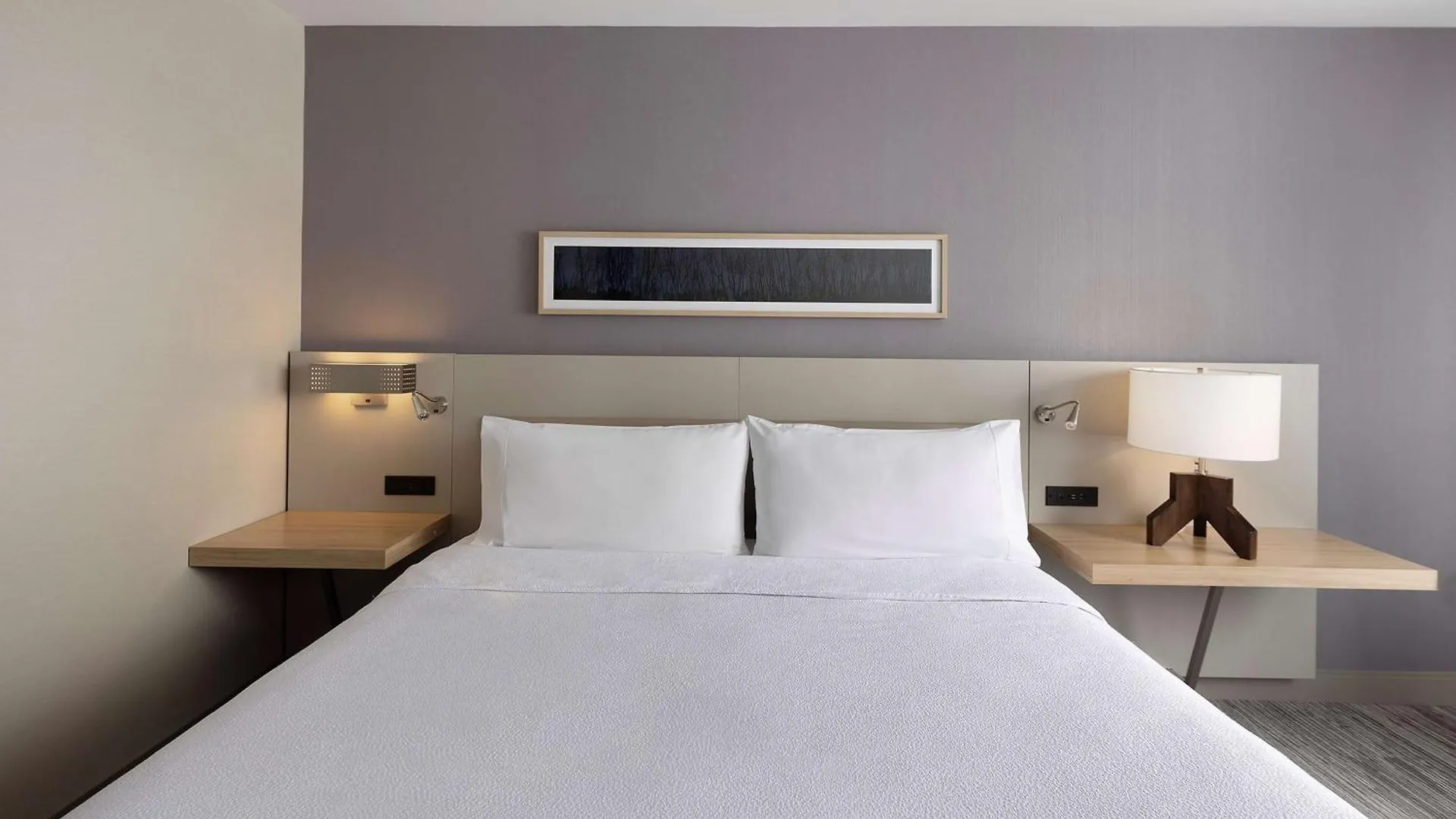 ניו יורק Hilton Garden Inn Queens/Jfk ניו יורק