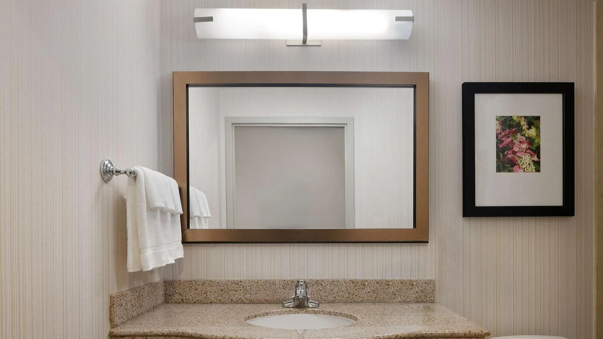 ניו יורק Hilton Garden Inn Queens/Jfk 3*, ניו יורק ארצות הברית
